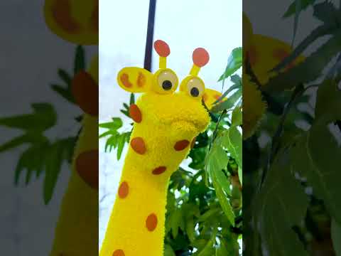 Giraffe puppet #shorts