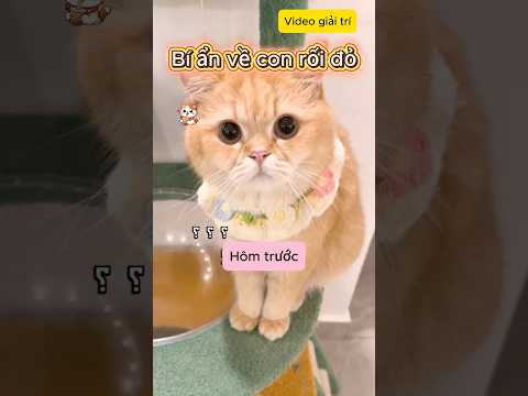 Bí ẩn về con rối đỏ #shorts #viral