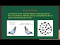 Environmental Ethics and Philosophies