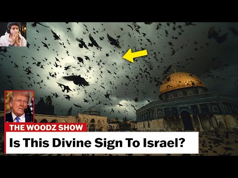 God's Signs Started Appearing in Israel ❗❗😱 Birds Revealing...