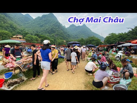 Người Hà Nội kéo nhau lên chợ Mai Châu từ 5 giờ sáng tìm kiếm đồ quý hiếm của rừng