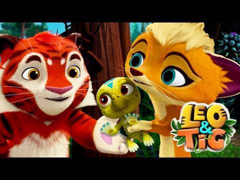 LEO and TIG 🦁 NEW 🐯 Episode 18 - A Foundling ❤️ Moolt Kids Toons Happy Bear