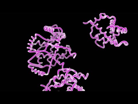 Types of Organic Molecules in Your Body