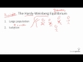 Genetic Equilibrium and Evolution Concepts