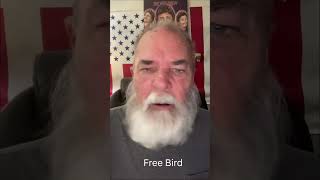 Free Bird Solo Short #lynyrdskynyrd #ralphwhistler