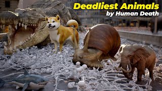 Most Deadliest Animals Scaled by How Many Humans They Kill per year