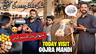 Waqar Bhinder Visit Gojra Buffalo Mandi 🐃 Mandi me Doodh Taqseem Kiya 🥛| کتنی بھینسیں خرید کر لائے ؟