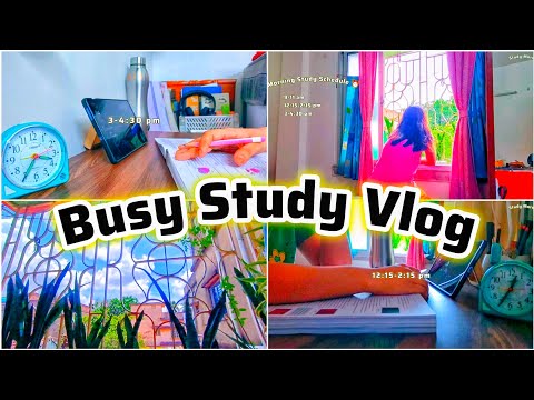 Productive Study Vlog 📚| a day in my life🌷| Study Vlog | Study More