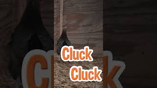 What Animal Goes CLUCK CLUCK CLUCK?👨‍🌾 #fermanimals #animalsounds #blippi