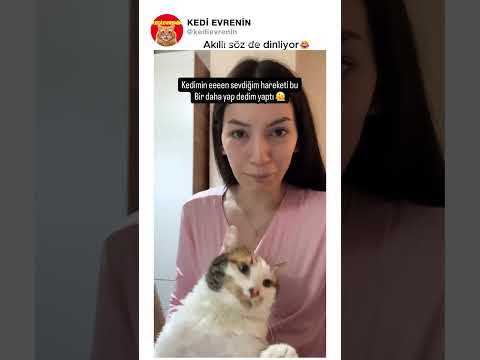 Akıllı söz de dinliyor😂