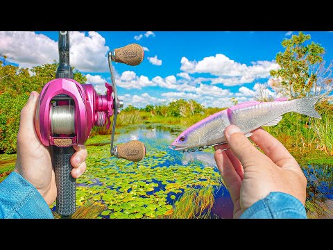 Fishing ONLY Swimbaits For MONSTER Bass - Nonstop Action