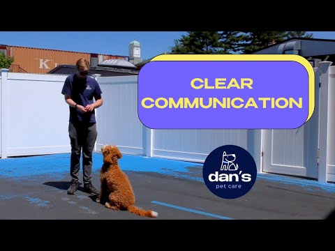 Why CLEAR COMMUNICATION Is Important When Training Your Dog