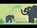 Animal Behavior and Environment