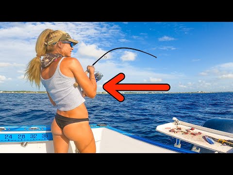 Dropped a TINY Bait on the Reef & Caught the LIMIT! Florida Snapper Fishing