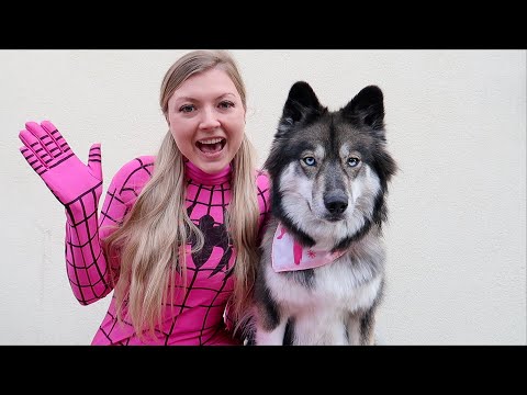 Kakoa's Favorite Stories with Pink Spider Girl!