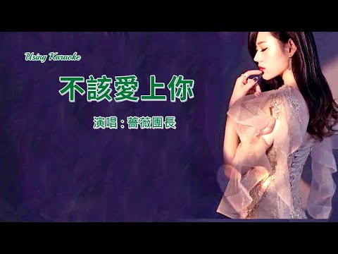 不該愛上你 (修改) 薔薇團長-伴奏 KARAOKE