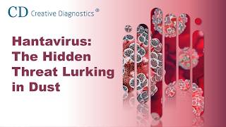 Hantavirus  The Hidden Threat Lurking in Dust