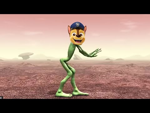 Paw Patrol vs Dame tu Cosita dance Cover (MUSIC COVER)