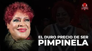 El duro precio de ser Pimpinela Escarlata | LA DIFÍCIL VIDA Y VICIOS | "A PUNTO DE M0RIR" | VIDEO