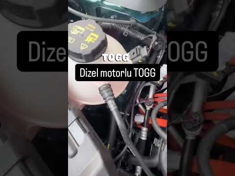 Canlı kanlı togg bu nasıl oluyor ?