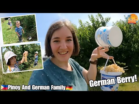 NAMITAS SILA NG GERMAN BERRIES SA FARM DAME NILANG NAKAIN HABANG  NAMIMITAS+TUMATABA NA SI ANNE!