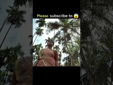 জঙ্গলে যখন বাচ্চার কান্নার আওয়াজ শোনা যায়  #YouTube #shorts #video #viralshot