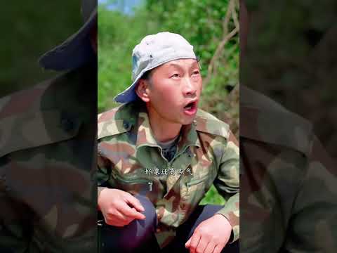 狗狗和村民一起救人