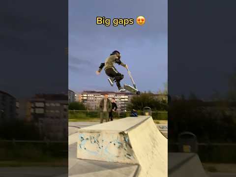 lil bro has absolutely NO FEAR 😱