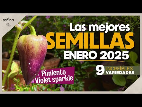 ¡No te pierdas las semillas de ENERO! Te encantarán 😉 (Club de la Semilla)