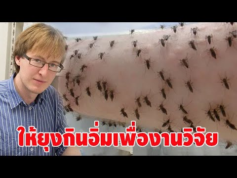 นักวิทยาศาสตร์ยอมลงทุนให้ยุงนับพันตัว กัดแขนตัวเอง เพื่อผลการวิจัยทางวิทยาศาสตร์