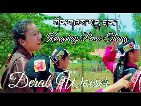 ཀོང་གཞས་པདྨ་ཐང་། Kongshay Pema Thang || Tibetan song 2024 || Derab Woeser