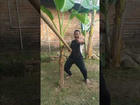 Video lucu bikin ngakak Hiburan pelepas lelah mau ketawa takut dosa funny videos #funny #viralvideo