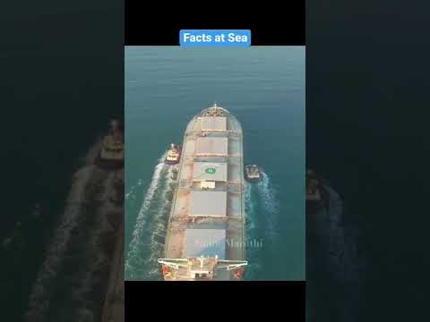 🤯கப்பலுக்கு🚢 brake இருக்கா.? Do ships have brakes.? | Facts at Sea #Shorts