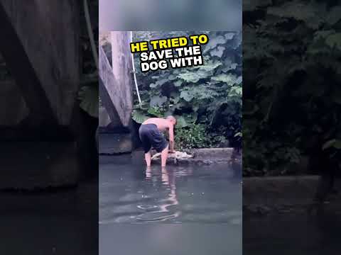 The man, who was a hero, saved the dog from the water ?