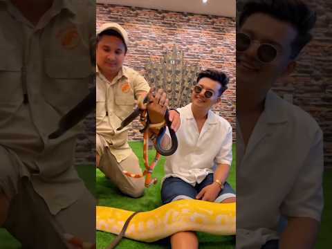 এই শহরের রাজাই আমি 🫅🤑🫅 #riyaz #shorts #riifam #viral #trending @YouTube
