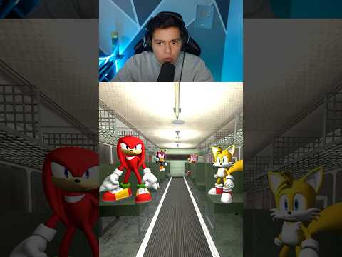 ENCUENTRO A LOS SONIC EN MI CAMION