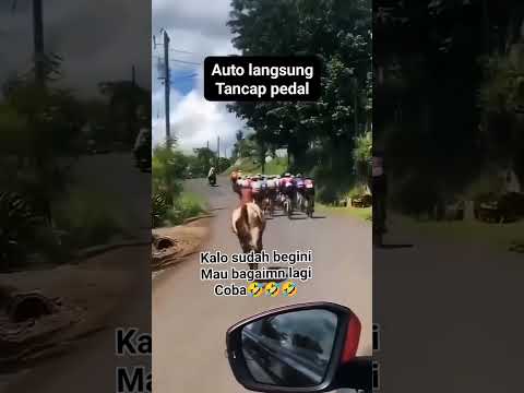 gak mau kalah dia