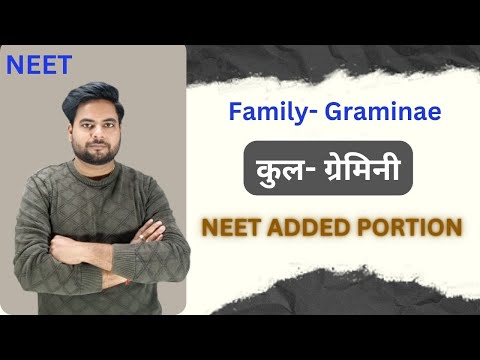 Graminae family | ग्रेमिनी कुल का वर्णन | NEET added topic biology | Oryza sativa triticum aestivam