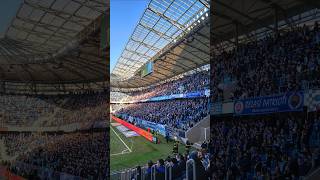 Sektor C - Slovan vs Spartak 28.2.2026 🩵🥁 #slovanbratislava #support #derby #ultras #match #shorts