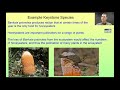 Ecosystem Dynamics and Keystone Species
