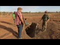 Exploring Wild Australia