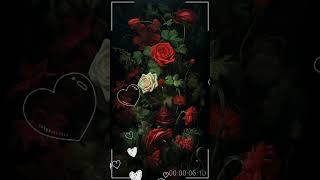 无论今夜有多么黑暗，明天的太阳还会按时升起。不要害怕，一切都会好起来。