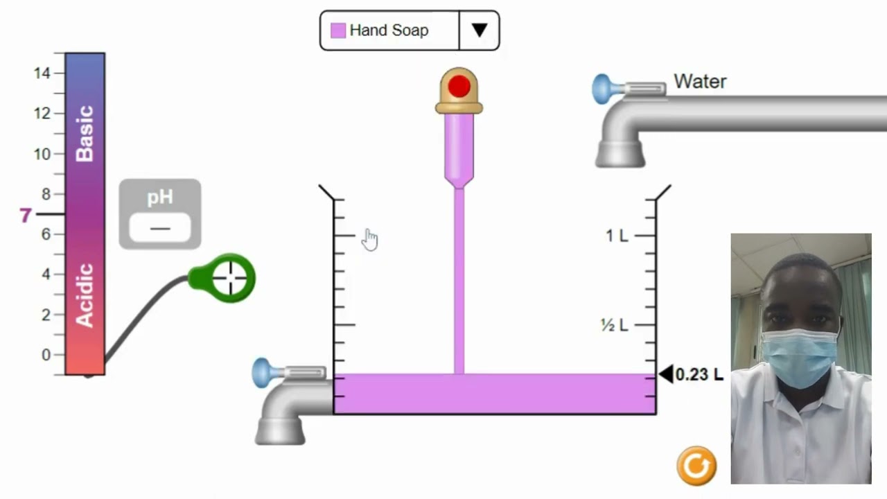 Virtual Lab pH Scale: Exploring the World of Acidity and Basicity