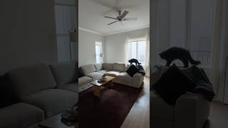 Living room furniture update! Rug fail 😅