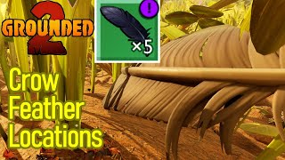 Grounded 2 crow feather piece locations, how to get crow feathers