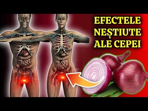 MULȚI OAMENI CONSUMĂ CEAPĂ, DAR PUȚINI ȘTIU DESPRE EFECTELE ACESTEIA ASUPRA ORGANISMULUI UMAN!