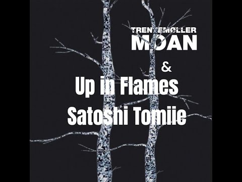 Trentemøller - Moan & Satoshi Tomiie - Up in flames (W.L.L.M. music  '99B  mashup 2006)