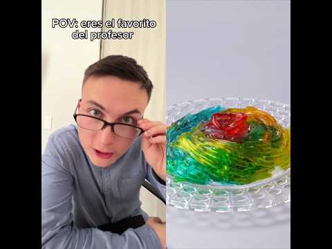 Text To Speech 🤣 ASMR Cake Storytime @Federico Millan #sonrixs #xybca #fouyou  #shorts  #viral
