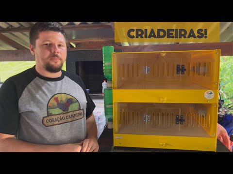 Compramos uma Criadeira Nagasaki | Coração Campeiro