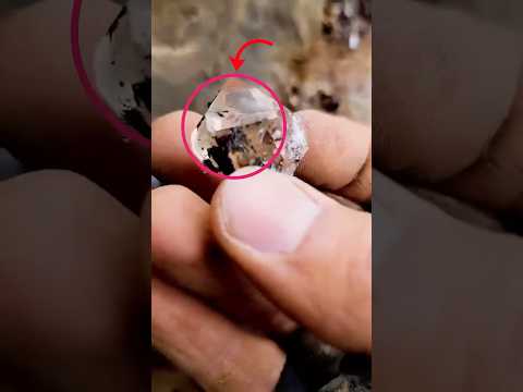 Encontró DIAMANTES 💎 en plena naturaleza 😯